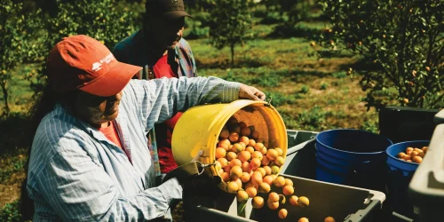 LINE 6 DADE CITY HISTORY 3