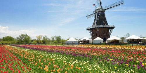 holland garden